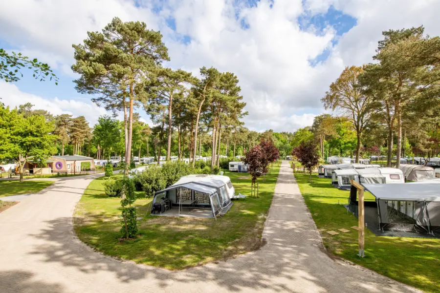 Ruim opgezette kampeerplaatsen bij Camping de Heldense Bossen