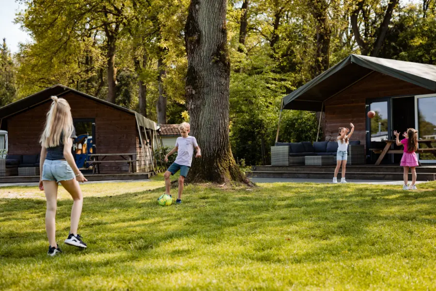 Kinderen spelen buiten op het gras tussen de houten lodges van Camping de Noetselerberg.