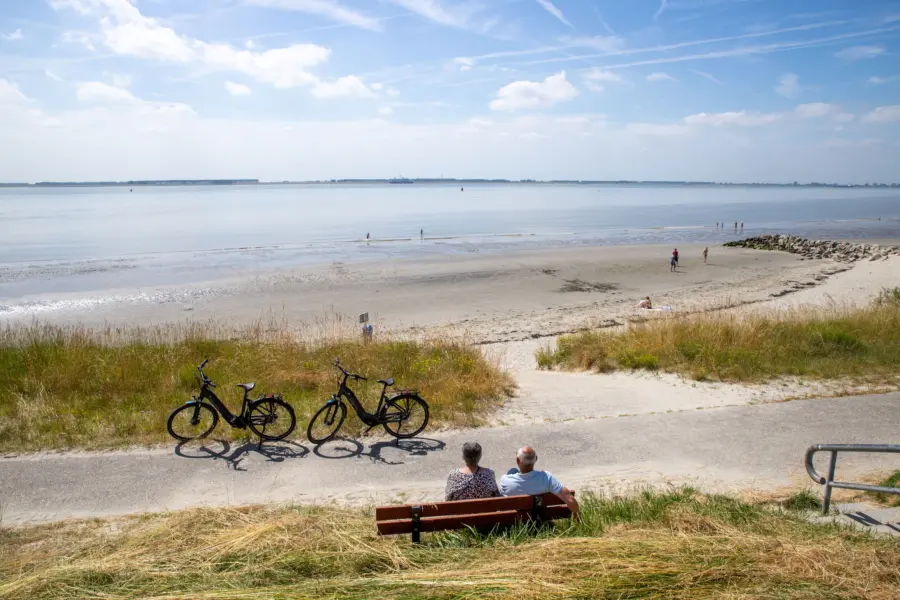 Fietsen in de omgeving van Comfortcamping Scheldeoord in Zeeland