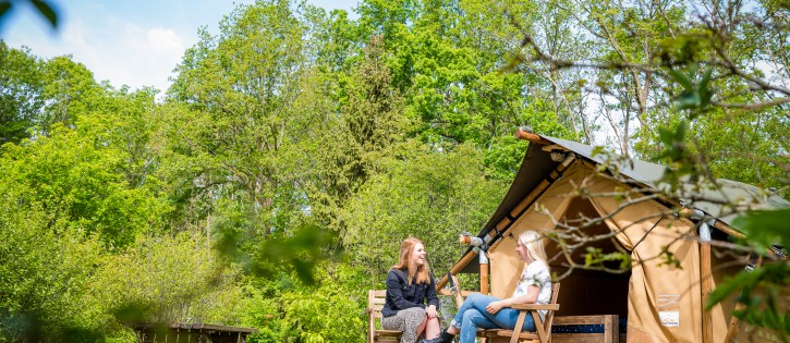 Torentjeshoek 2020 tenthuisjes grote veld-25.jpg