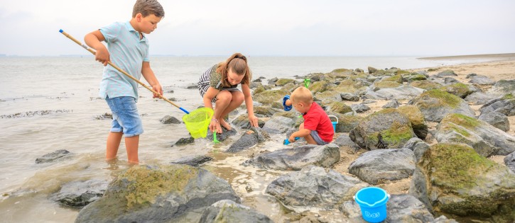 Strand - Scheldeoord