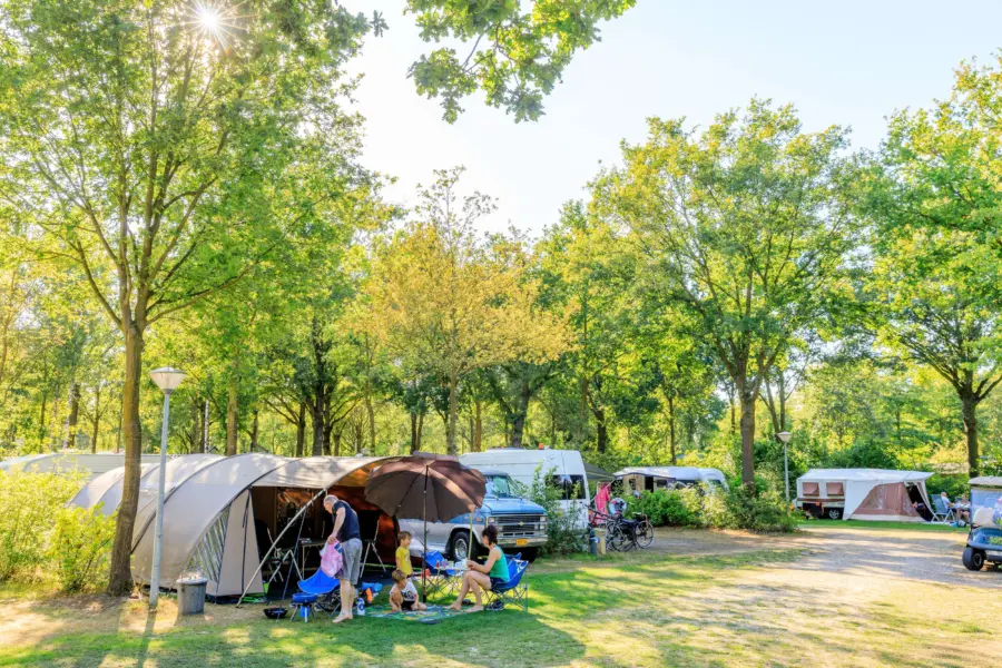 Kampeerplek in het bos op Vakantiecentrum de Ullingse Bergen