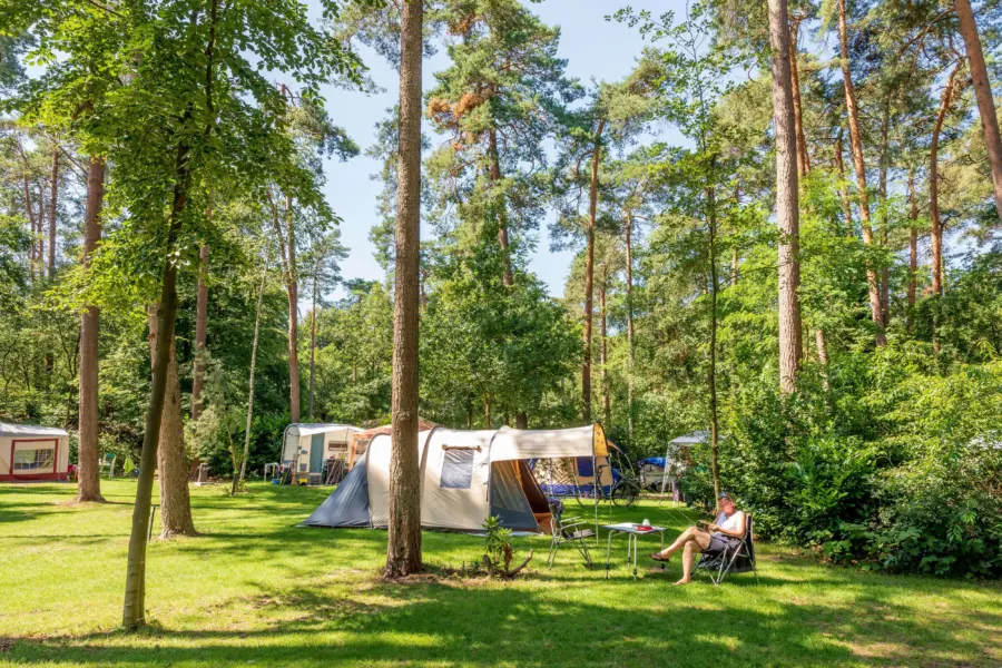 Ruime kampeerplaats met tent en voortent op Vakantiedorp de Jutberg in Gelderland