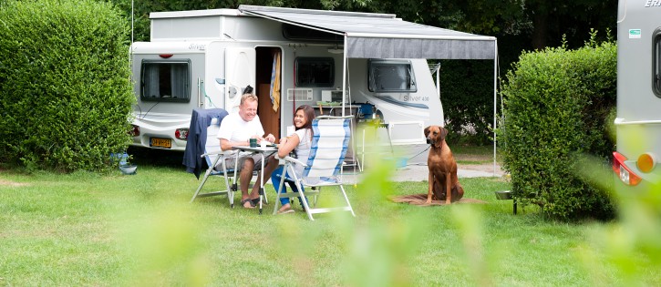 Campingplätze mit Hund Hundefreundlich