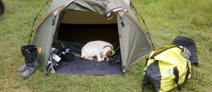 Camping Holland Am Meer Mit Hund