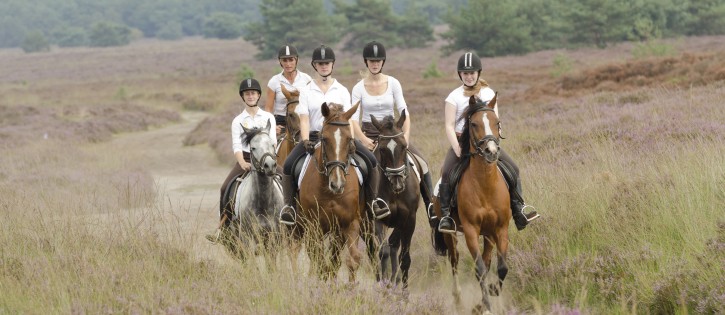 Manege - Buitenrit Veluwe