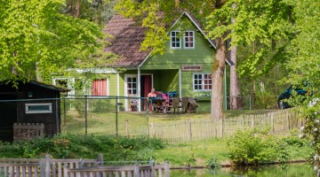 Bosgalow groen huisje