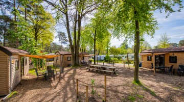 Woodlogdes veld heldense bossen
