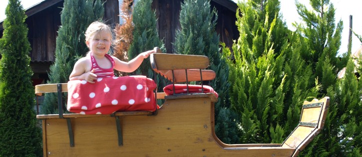 Manege - Prive SA karretje