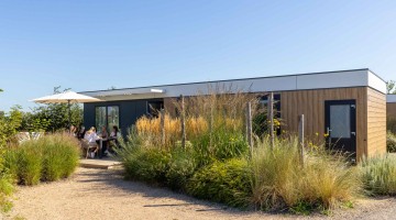 Lodged_Zonneweelde (37 van 140).jpg