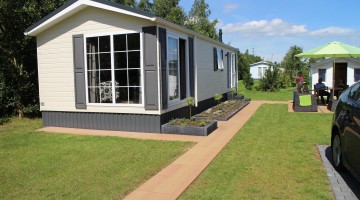 Esdoorn op 't Rheezerwold 15